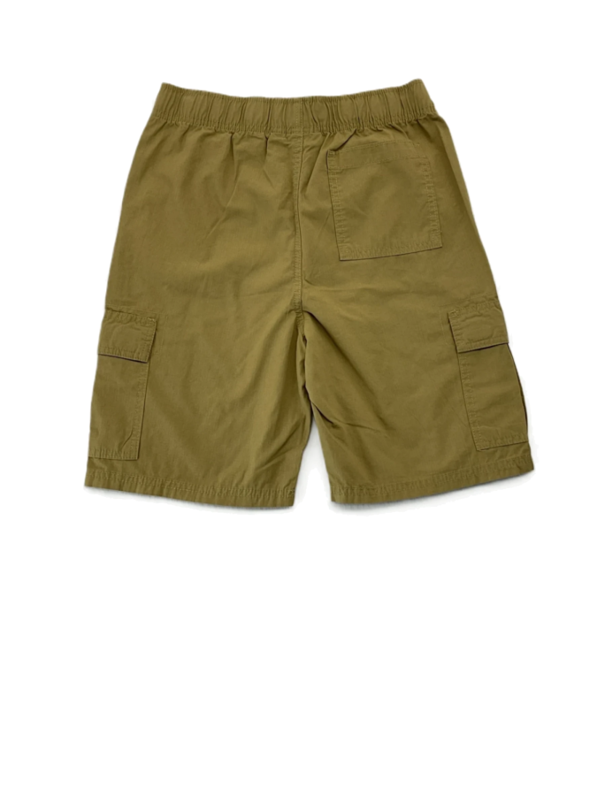 Place cargo shorts