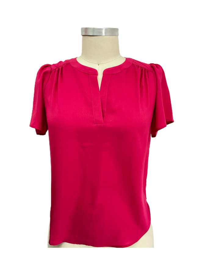 Ann Taylor