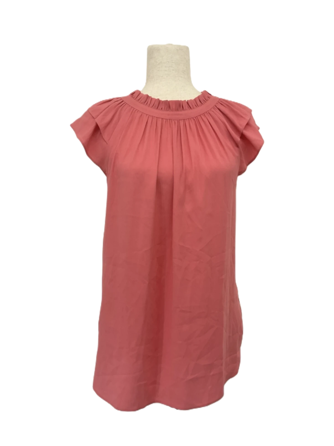 Ann Taylor