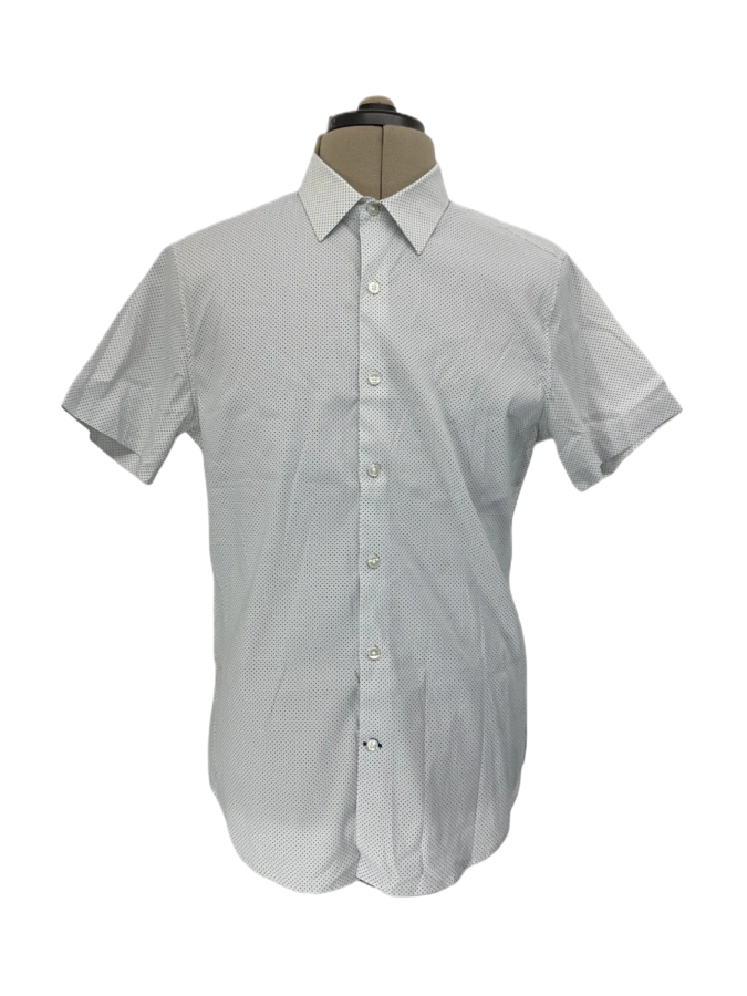 Bonobos