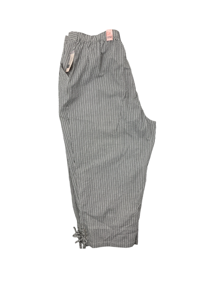 Dress Barn Woman