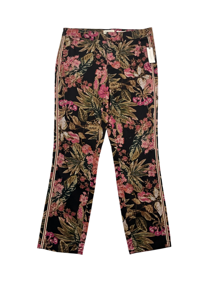 Chino by Anthropology