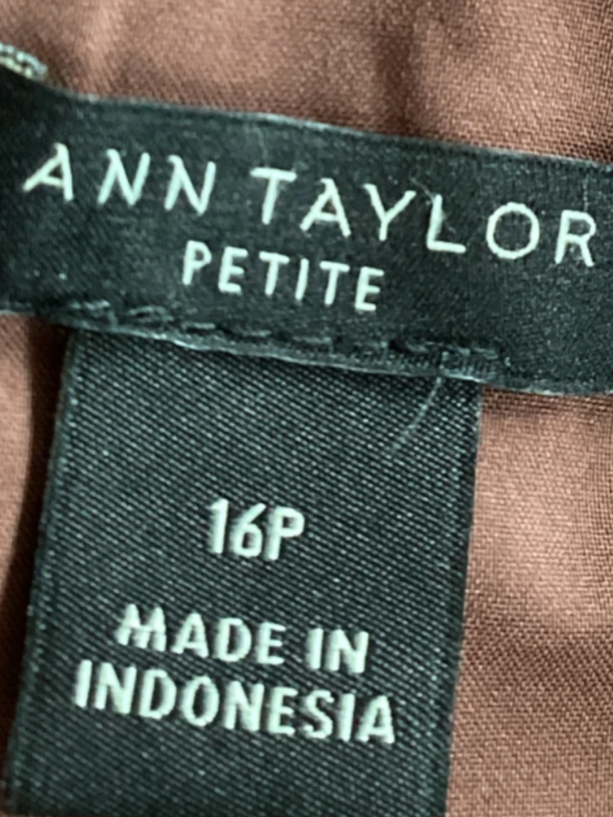 Ann Taylor Petite