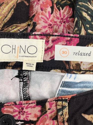 Chino by Anthropology