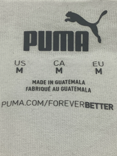 Puma