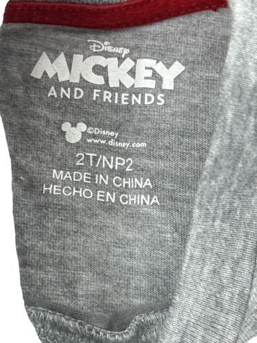 Mickey & Friends