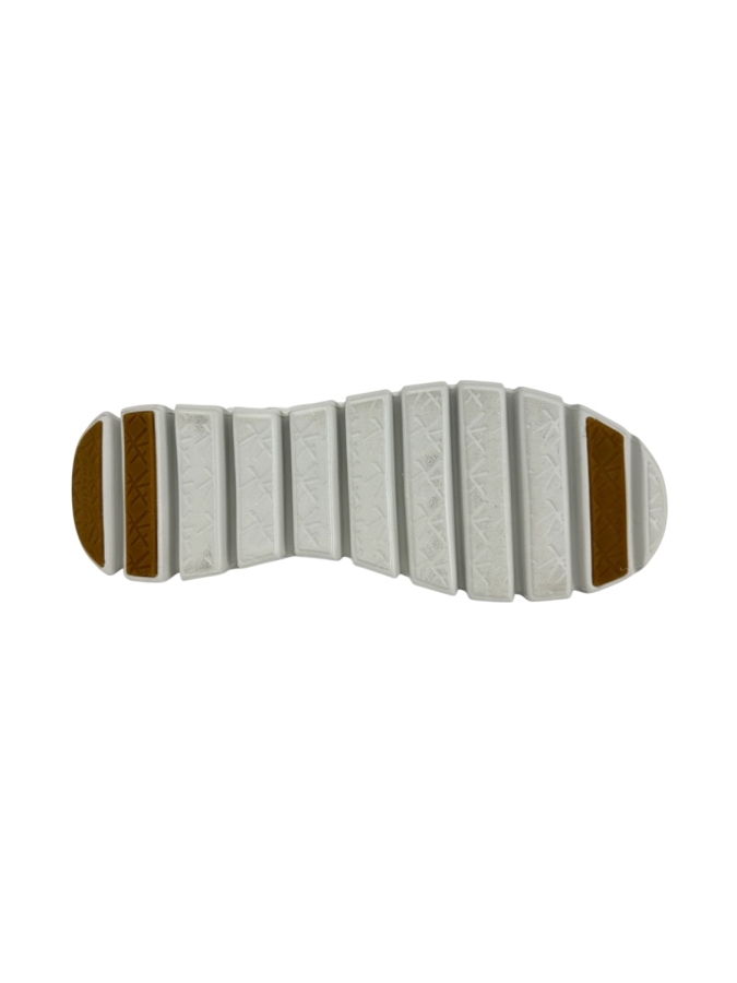 Sketchers