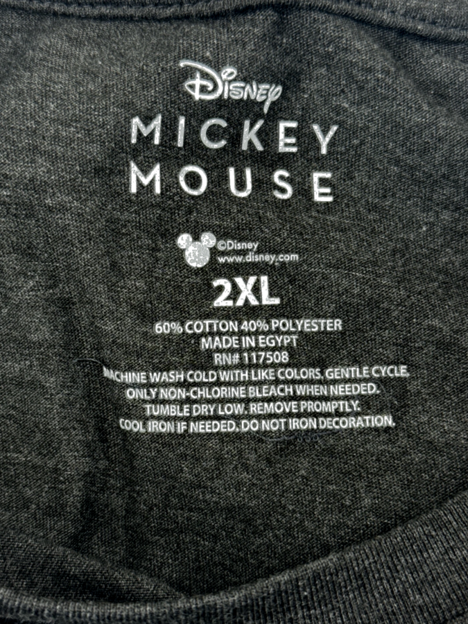 Disney Mickey Mouse