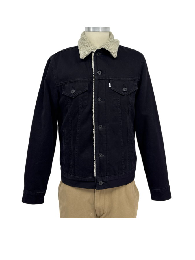 Levi Strauss & Co.