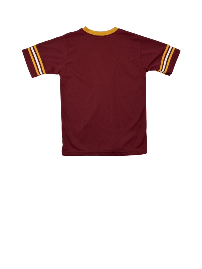 NFL/Washington Redskins