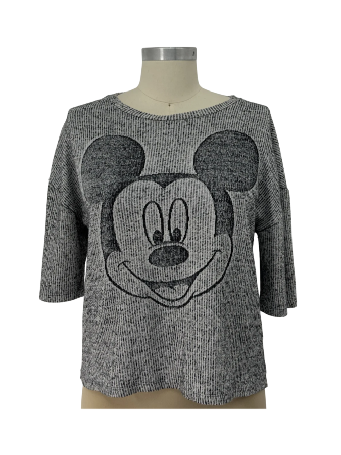 Zara x Disney