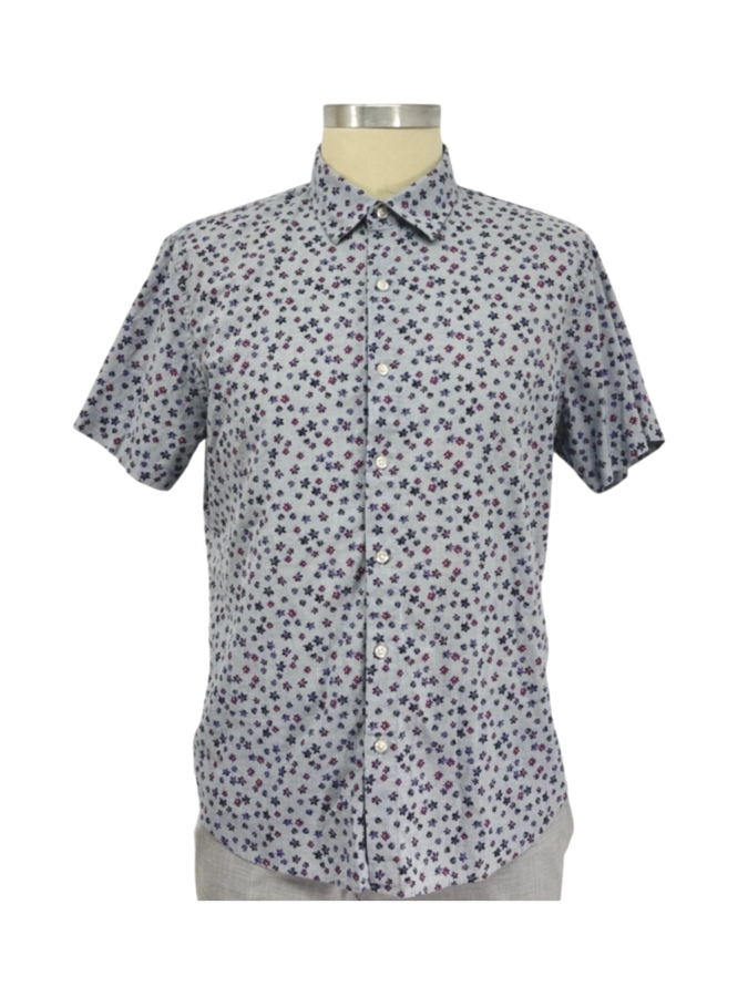 Bonobos