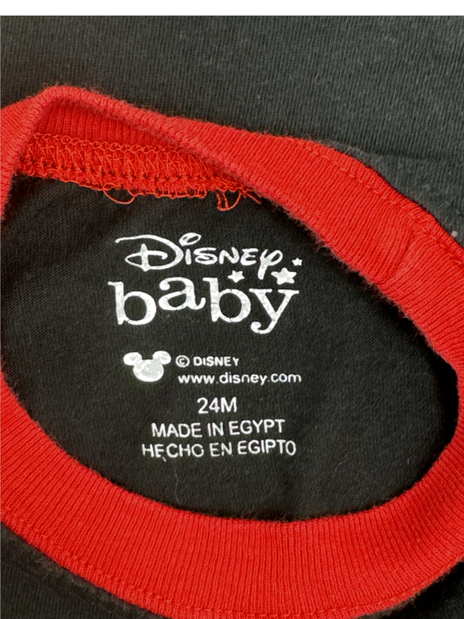 Disney Baby