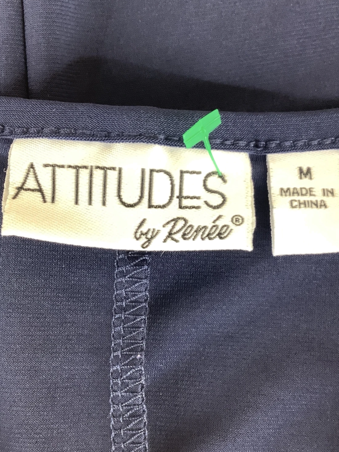 Attitudes by Renee