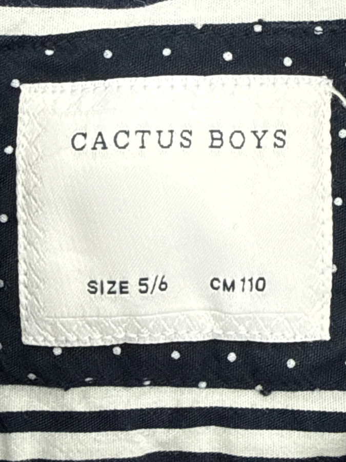Cactus Boys