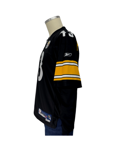 NFL/Pittsburgh Steelers