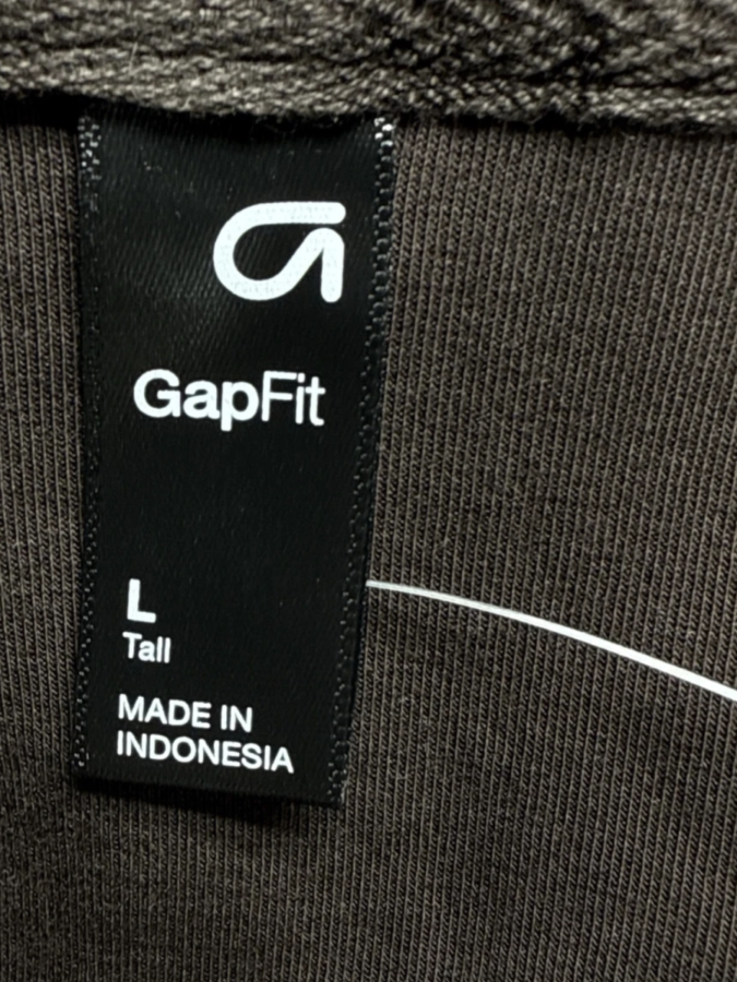 GapFit