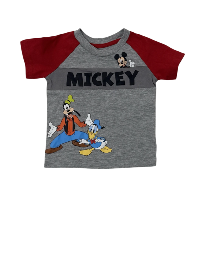 Mickey & Friends