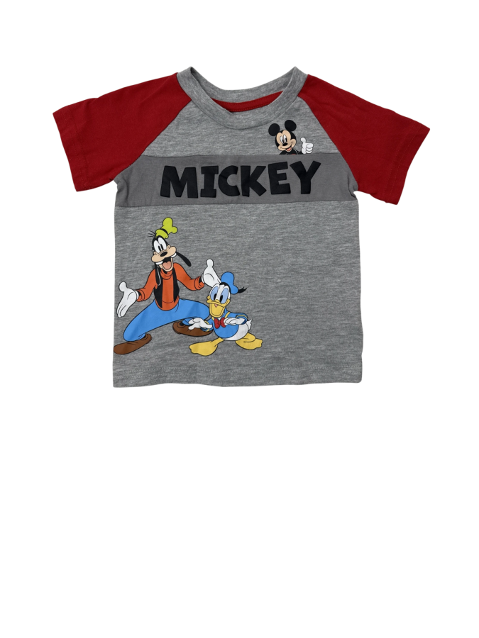 Mickey & Friends