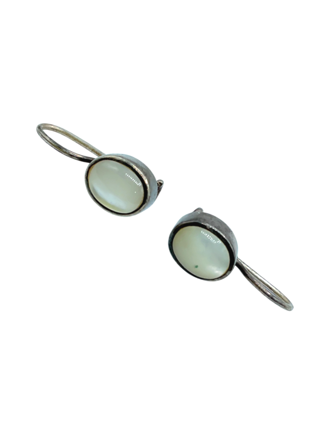 Earrings Embedded Stones