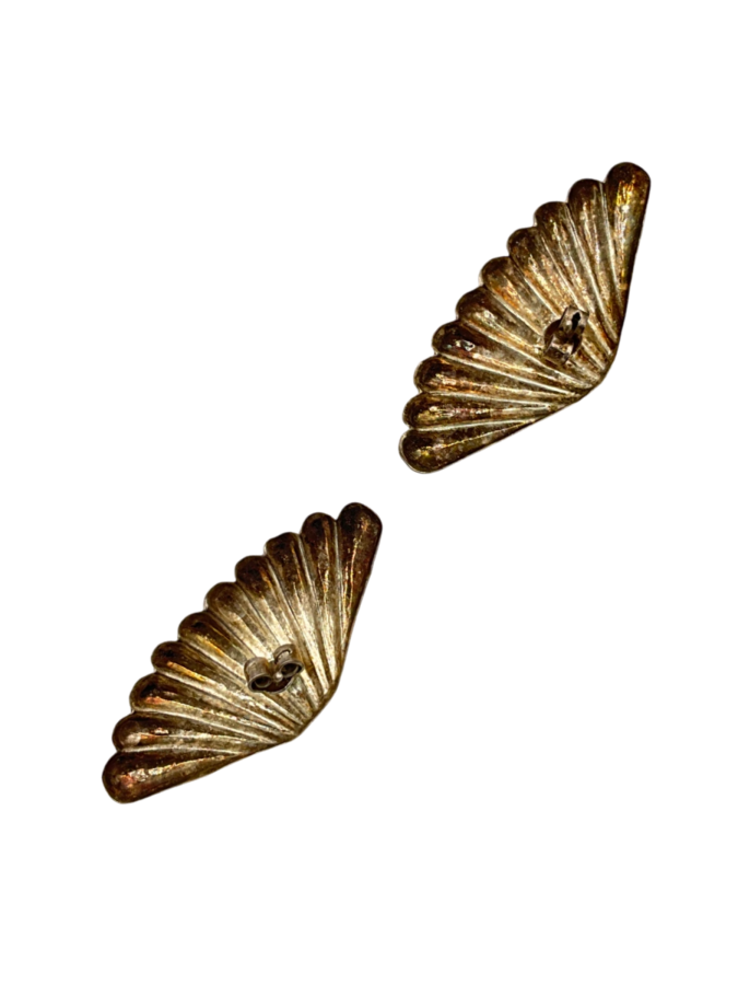 Seashell stud earrings