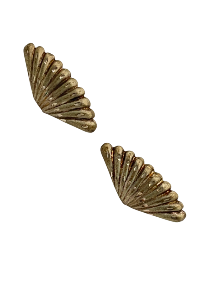 Seashell stud earrings