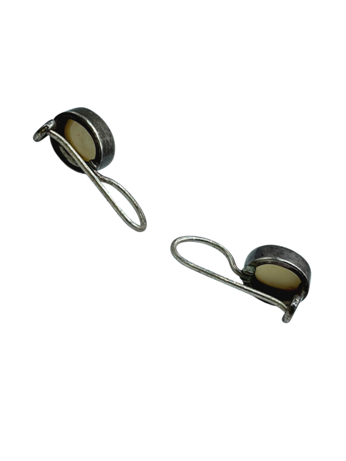 Earrings Embedded Stones