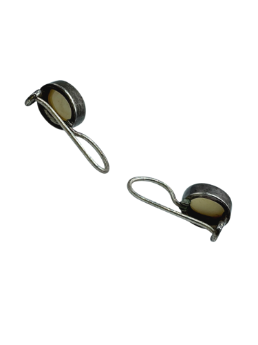 Earrings Embedded Stones