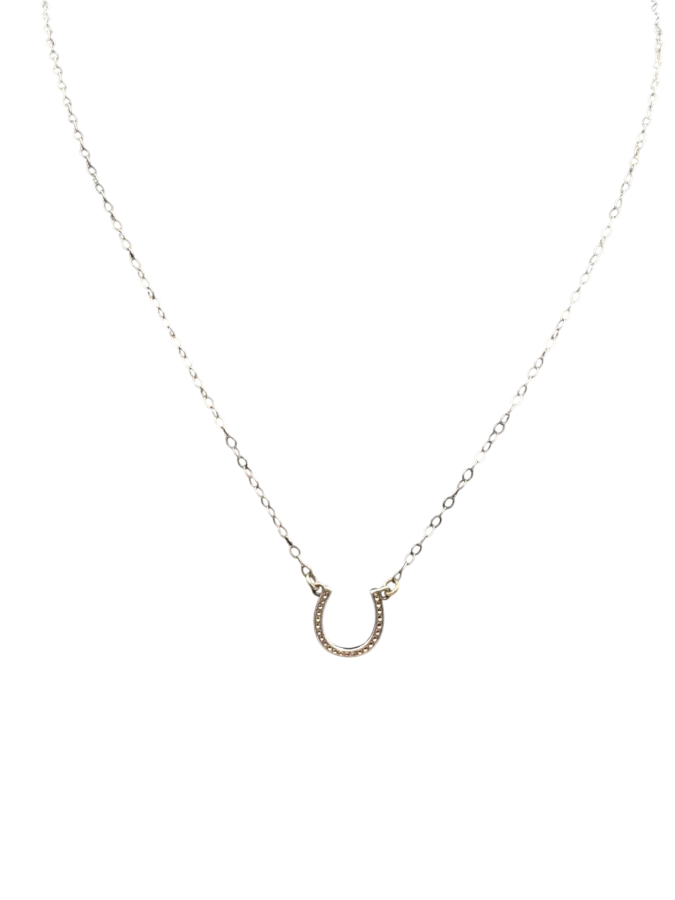 Horseshoe Necklace