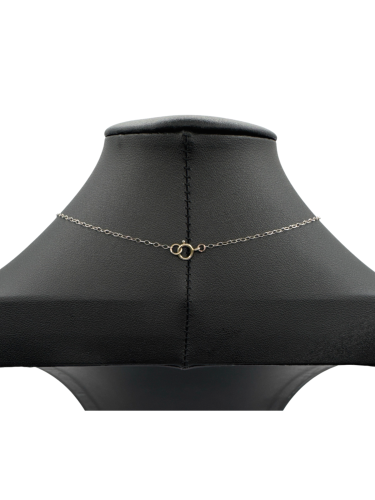 Horseshoe Necklace