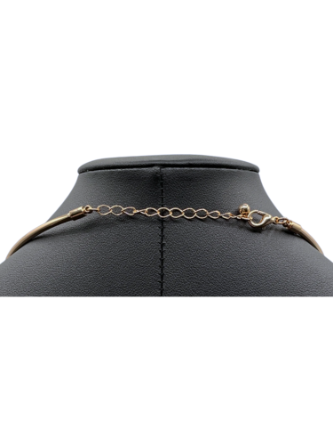 Golden collar with pendant