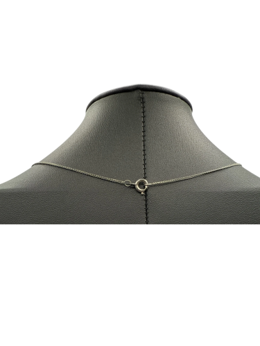 David's star Collar