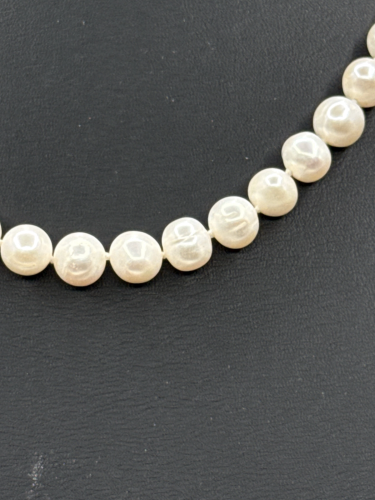 Classic elegant pearl necklace