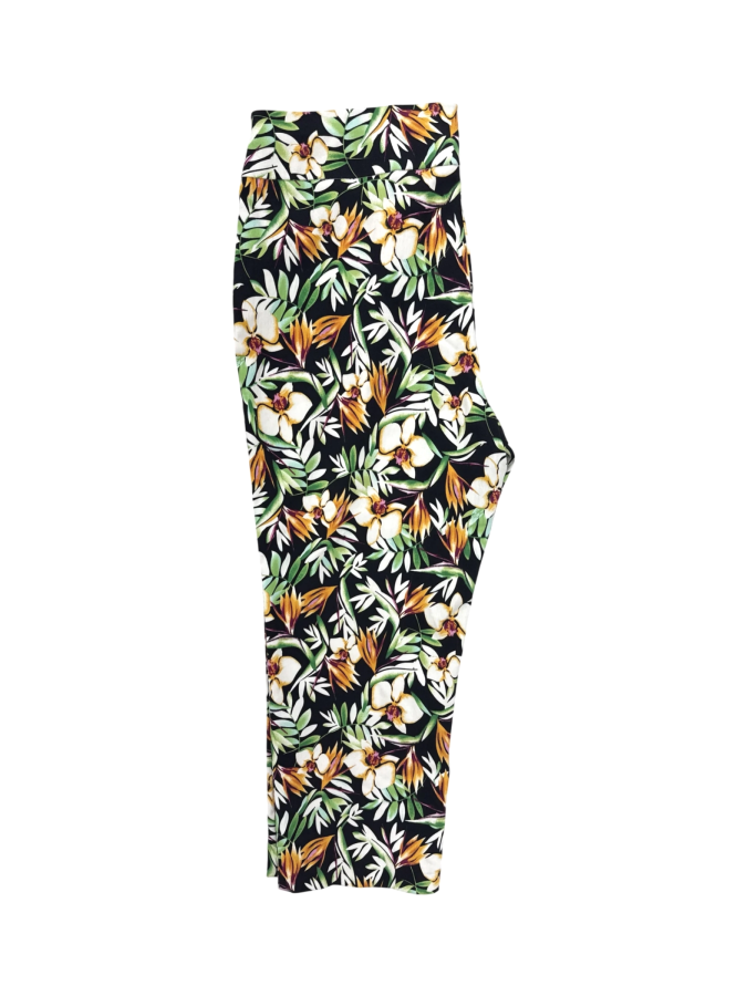 Catherine Malandrino