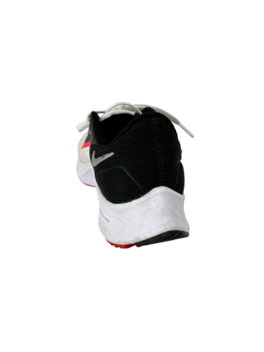 Nike Air Zoom Pegasus