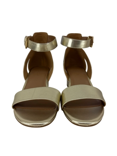 Aerosoles