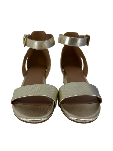 Aerosoles