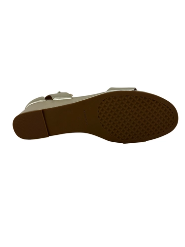 Aerosoles