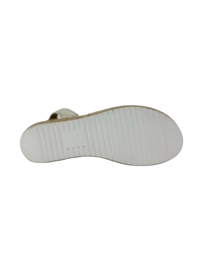 Daily Shoes