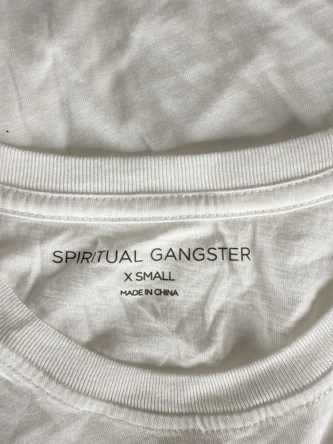 Spiritual Gangster