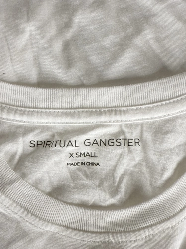 Spiritual Gangster