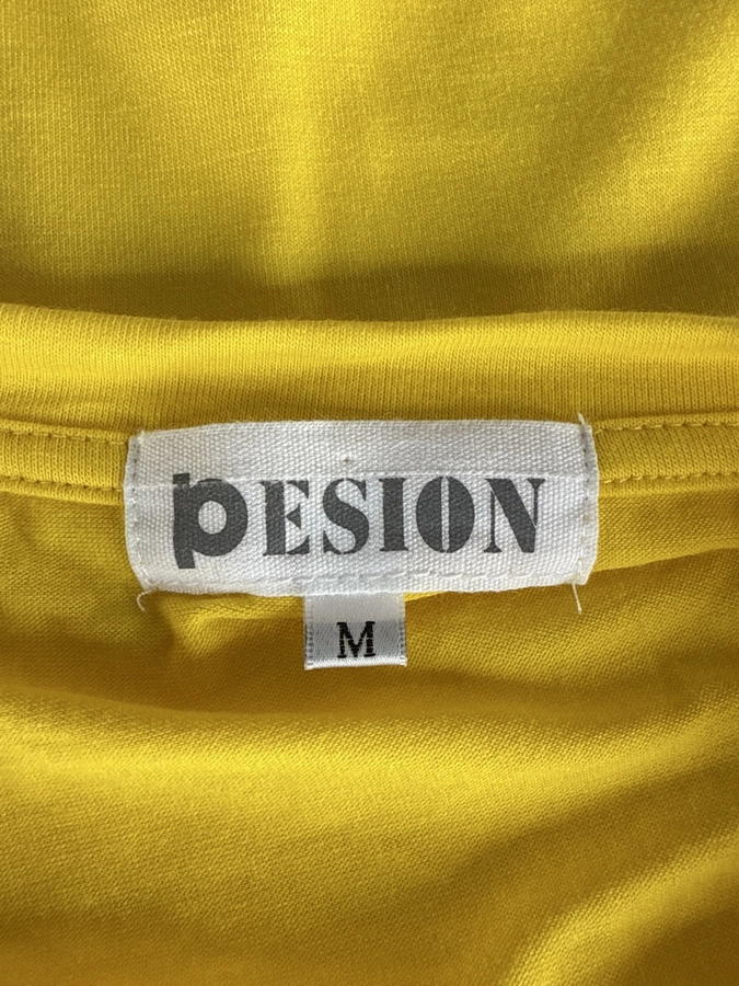 Pesion