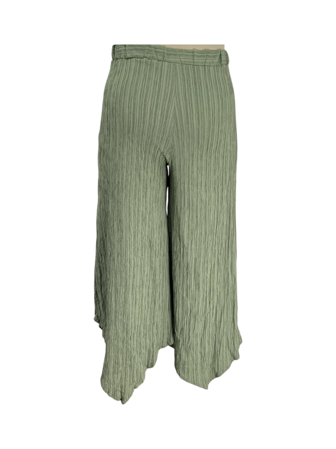 Shein Curve