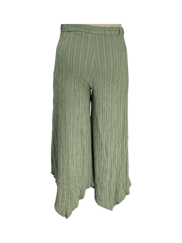 Shein Curve