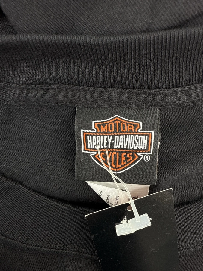 Motor Harley-Davidson Cycles