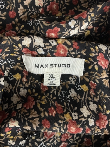 Max Studio