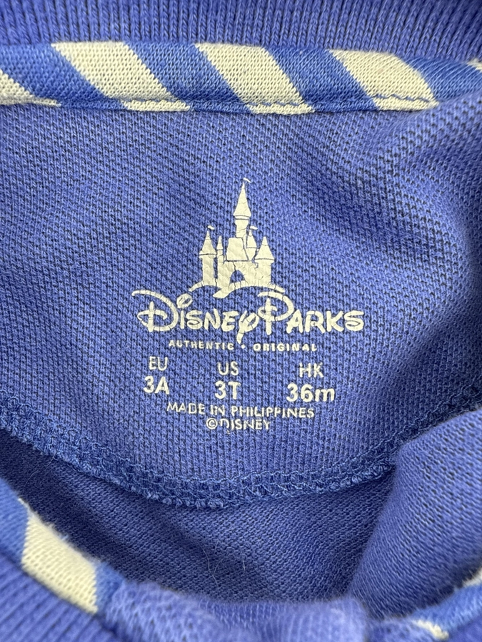 Disney Parks