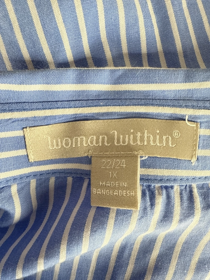 Woman Within