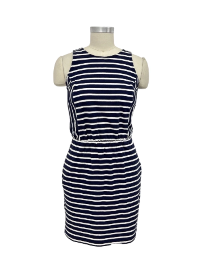 Ann Taylor Petite