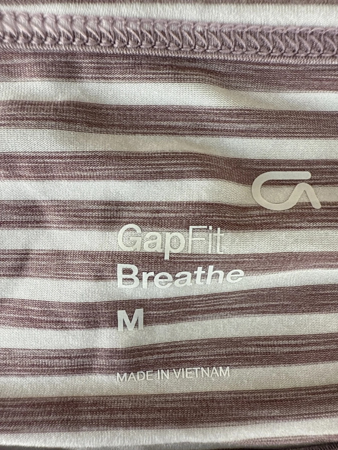 GapFit